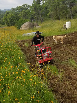 Brent digging trenches